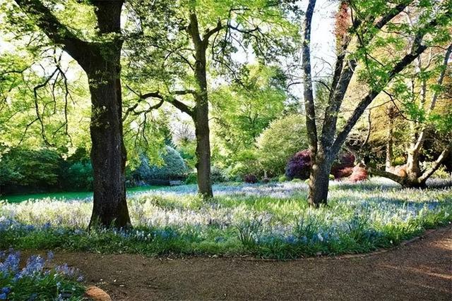 火狐电竞花园设计前沿趋势 14种澳洲庭院花园类型全面细致(图35)