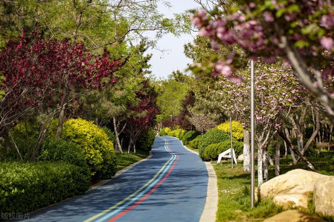 园林景观的园路设计园林道路施工砖施工石铺设火狐电竞(图1)
