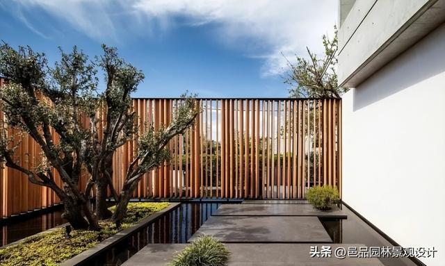 植物和景观装饰-庭院中不可或缺的2个要素火狐电竞(图6)