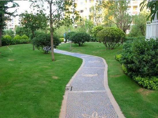 火狐电竞景观设计基本元素之园路设计(图6)
