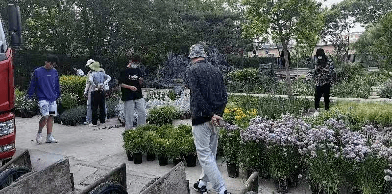 火狐电竞2021级风景园林专业《园林植物应用设计（实习）》课程花境设计成果展(图4)