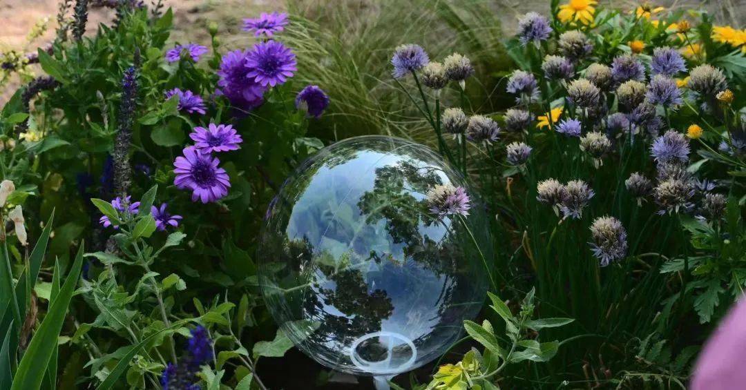 火狐电竞2021级风景园林专业《园林植物应用设计（实习）》课程花境设计成果展(图7)