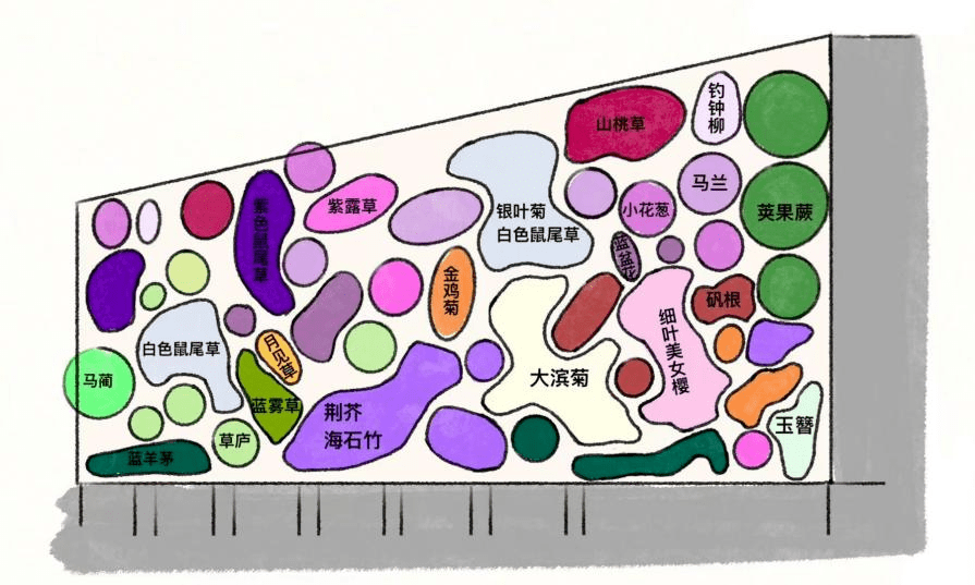 火狐电竞2021级风景园林专业《园林植物应用设计（实习）》课程花境设计成果展(图26)