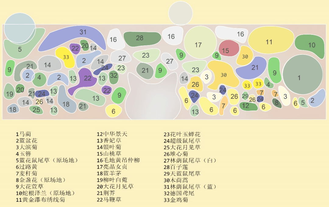 火狐电竞2021级风景园林专业《园林植物应用设计（实习）》课程花境设计成果展(图14)