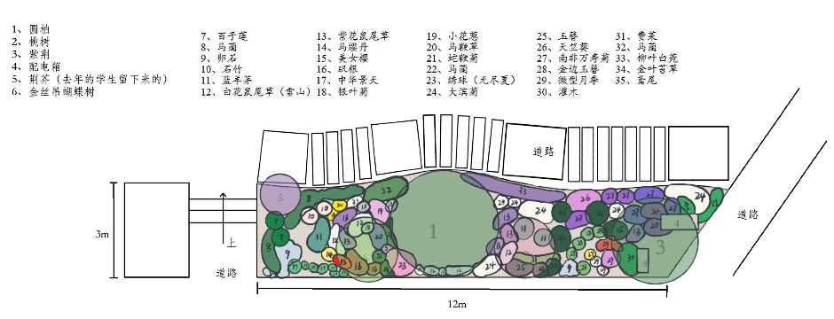 火狐电竞2021级风景园林专业《园林植物应用设计（实习）》课程花境设计成果展(图22)