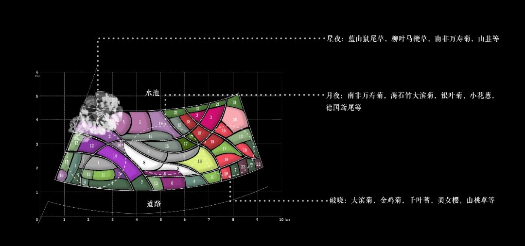 火狐电竞2021级风景园林专业《园林植物应用设计（实习）》课程花境设计成果展(图20)