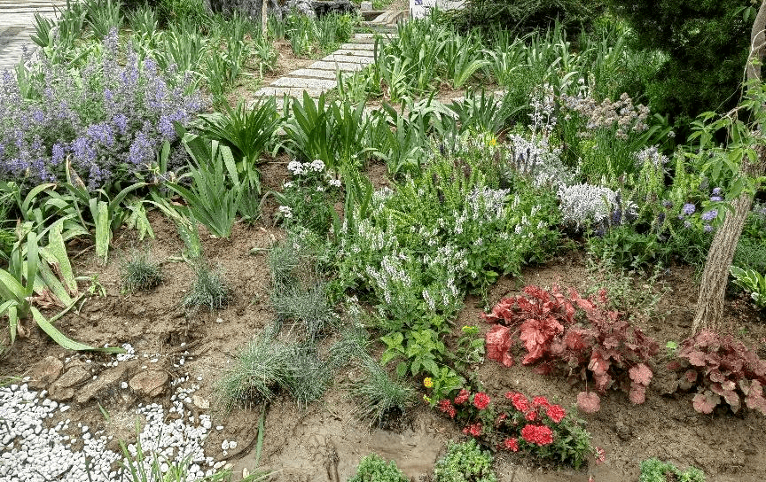 火狐电竞2021级风景园林专业《园林植物应用设计（实习）》课程花境设计成果展(图23)