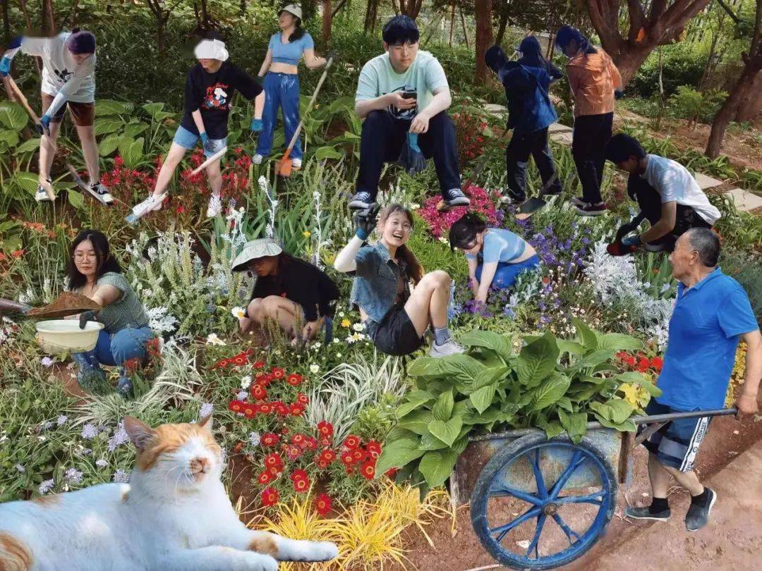 火狐电竞2021级风景园林专业《园林植物应用设计（实习）》课程花境设计成果展(图36)