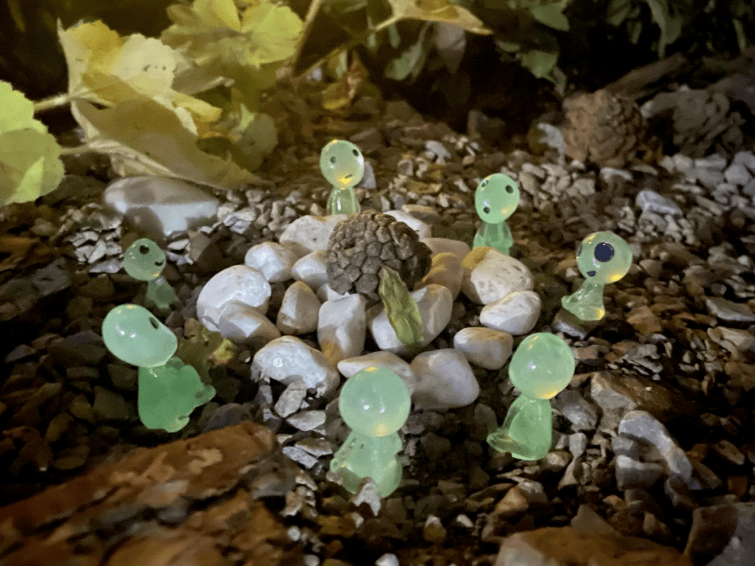 火狐电竞2021级风景园林专业《园林植物应用设计（实习）》课程花境设计成果展(图32)