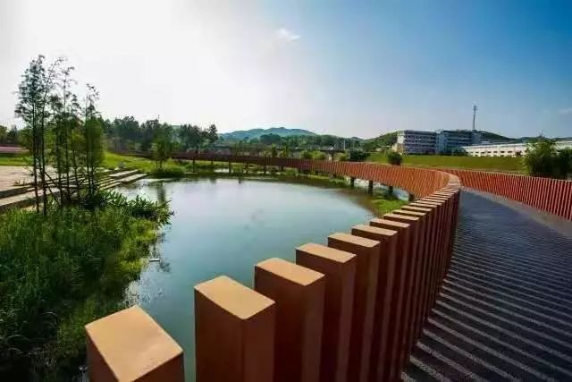 东火狐电竞方园林-陈家湾湿地公园案例(图6)
