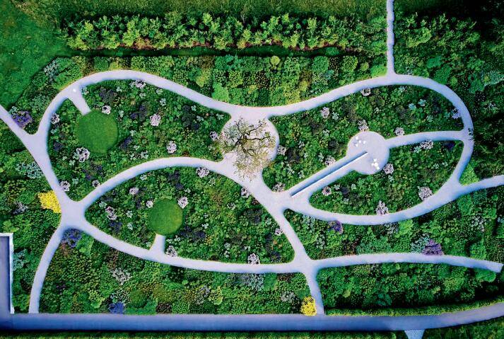 火狐电竞设 计 花 园(图9)