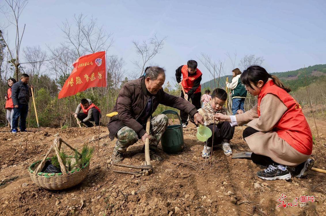 植树添新绿 不负好火狐电竞春光(图3)