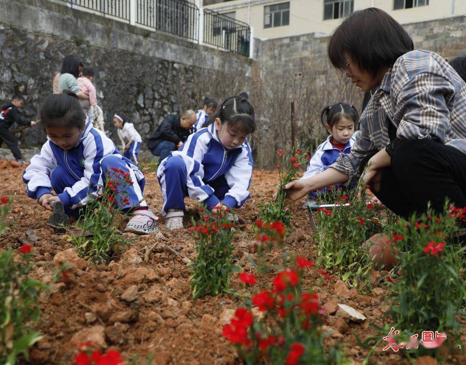 植树添新绿 不负好火狐电竞春光(图4)