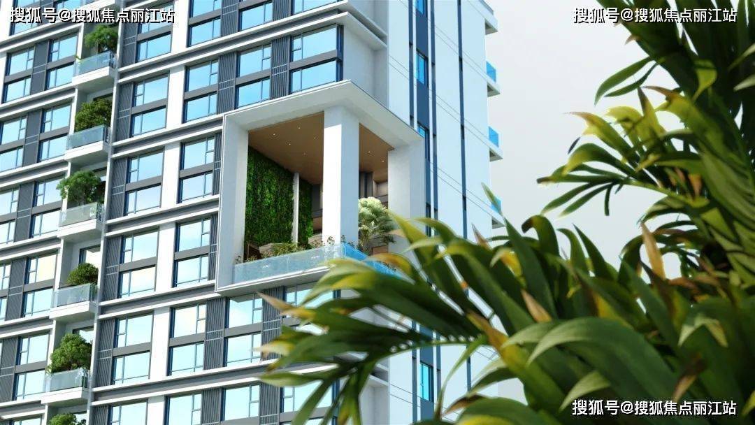 火狐电竞万宁壹号小区配套绿化环境实景图(图4)