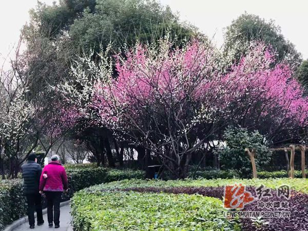 火狐电竞冷水滩：“绣出”美丽新画卷 焕发“滩”城新气象(图4)