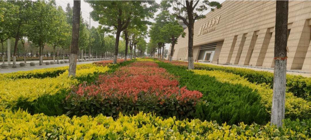 美就在场馆身边——开封五馆绿化养护工火狐电竞作实践(图2)