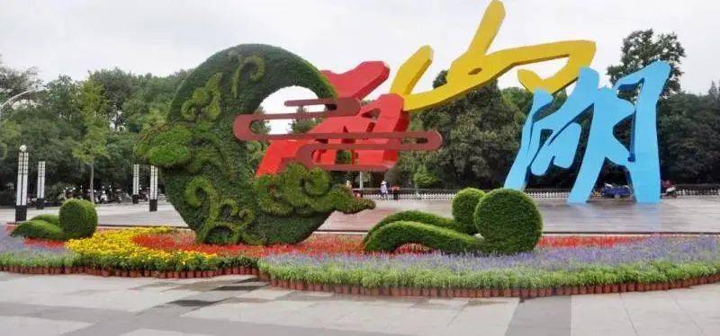 市城管局积极开展绿化养护工作火狐电竞(图3)