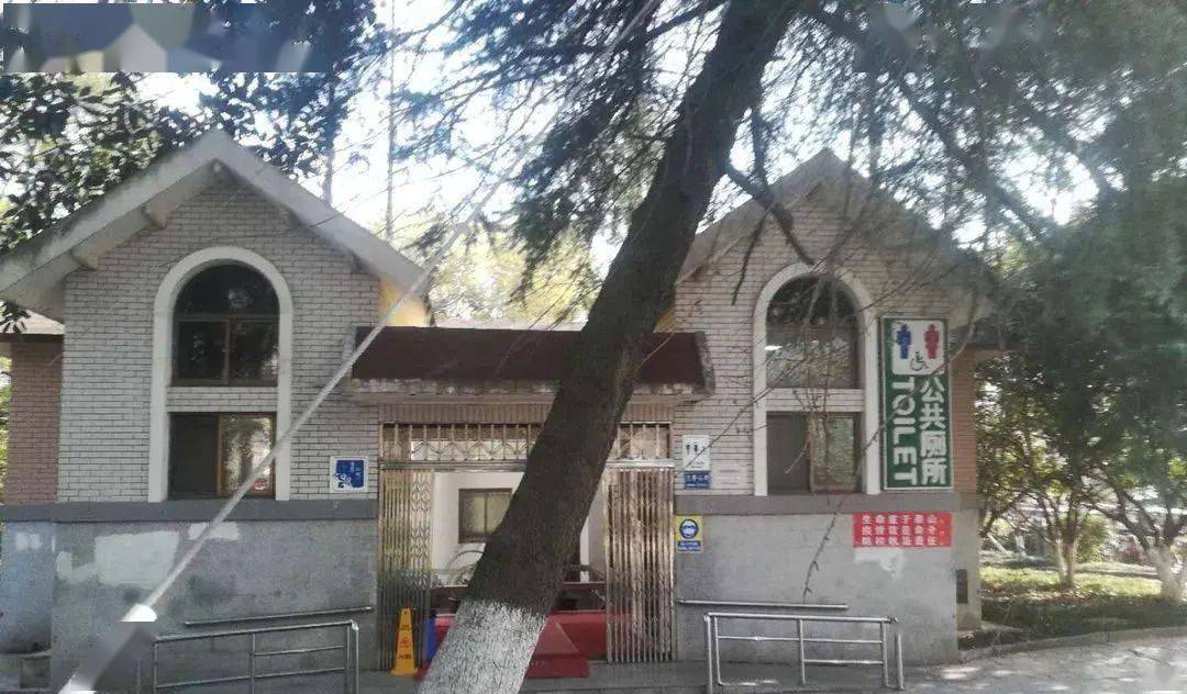 市城管局积极开展绿化养护工作火狐电竞(图1)