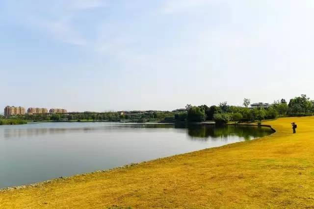 城市湿地公园规划设计案例解析火狐电竞之慈城湿地公园(图2)