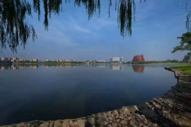 城市湿地公园规划设计案例解析火狐电竞之慈城湿地公园(图1)