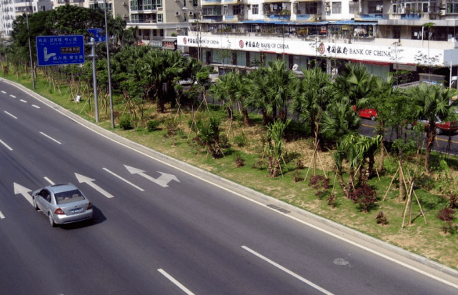 道路两旁的绿化带究竟有啥用？公路火狐电竞、铁路都如此种庄稼不好吗？(图3)