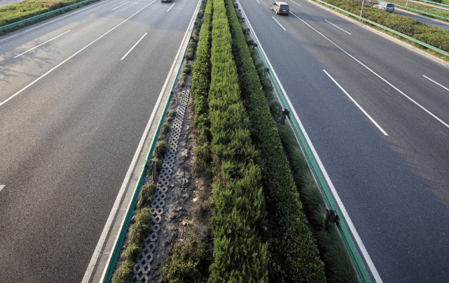 道路两旁的绿化带究竟有啥用？公路火狐电竞、铁路都如此种庄稼不好吗？(图1)