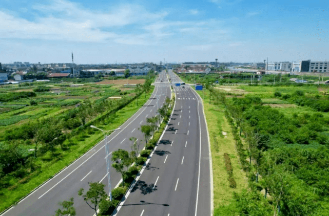 道路两旁的绿化带究竟有啥用？公路火狐电竞、铁路都如此种庄稼不好吗？(图5)