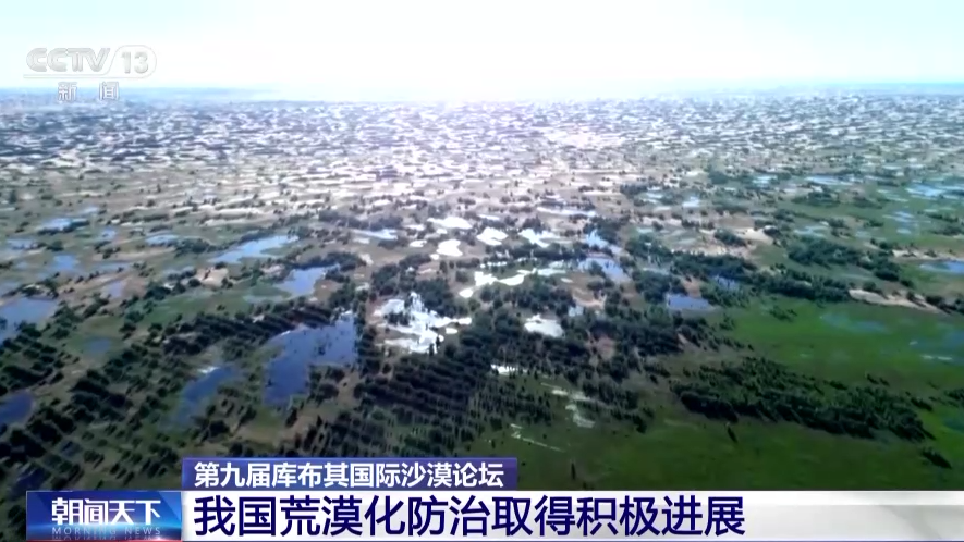火狐电竞中国治沙智慧与世界共享 这场国际沙漠论坛值得关注(图1)