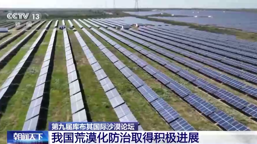 火狐电竞中国治沙智慧与世界共享 这场国际沙漠论坛值得关注(图2)