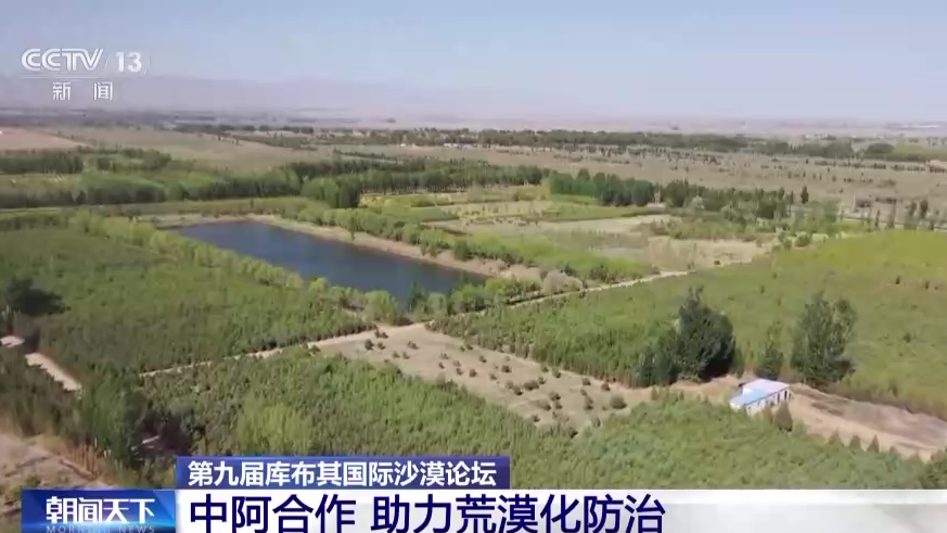 火狐电竞中国治沙智慧与世界共享 这场国际沙漠论坛值得关注(图3)