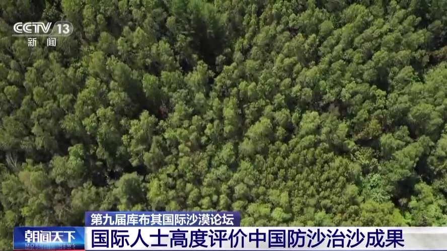 火狐电竞中国治沙智慧与世界共享 这场国际沙漠论坛值得关注(图5)