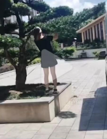 火狐电竞女子撞断校内绿化树枝被索赔8000元业内人士：罗汉松价格高撞掉一根枝影响整体美观(图1)