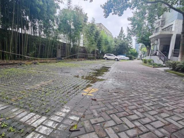 火狐电竞绿化补种、道路修缮普陀这个小区“微治理”还居民靓丽环境(图3)