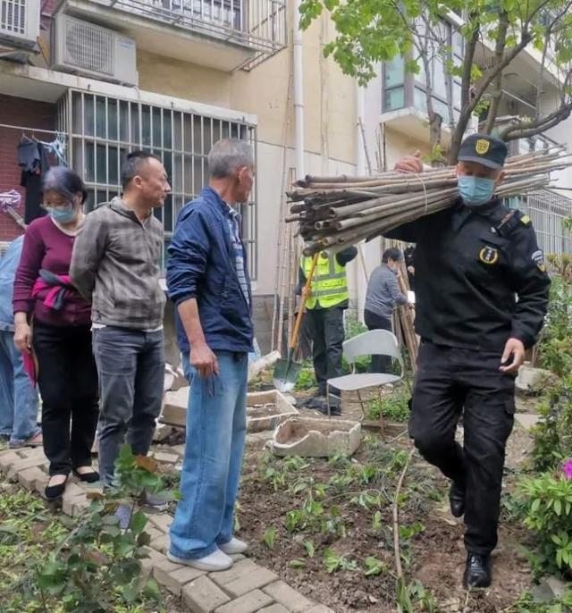 火狐电竞绿化补种、道路修缮普陀这个小区“微治理”还居民靓丽环境(图2)