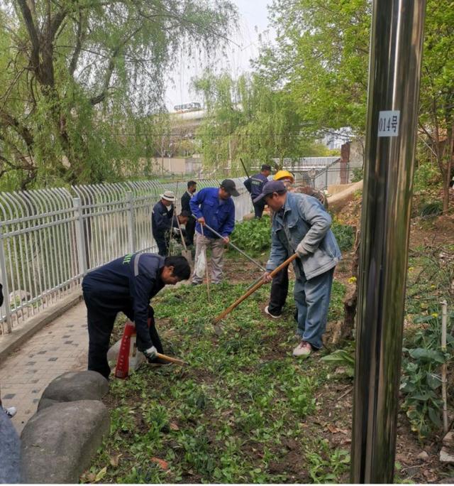 火狐电竞绿化补种、道路修缮普陀这个小区“微治理”还居民靓丽环境(图1)