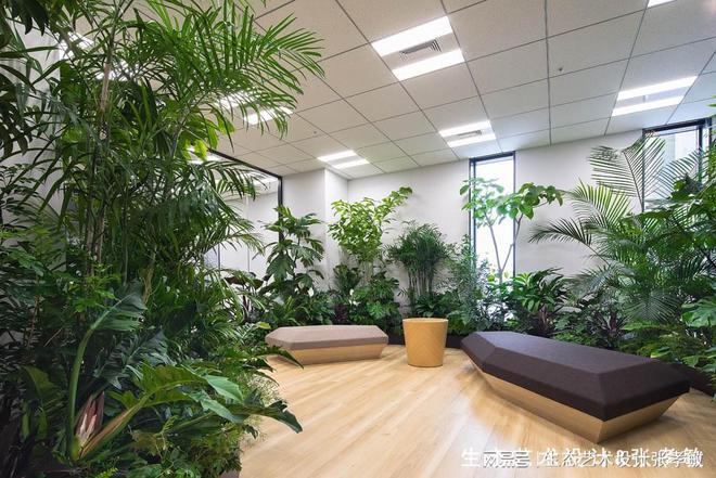 办公室这样设置室内绿化档次氛围一下就上火狐电竞来了！(图1)
