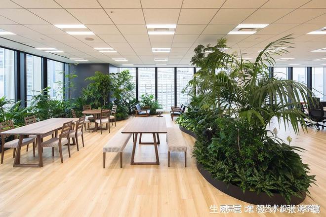 办公室这样设置室内绿化档次氛围一下就上火狐电竞来了！(图3)