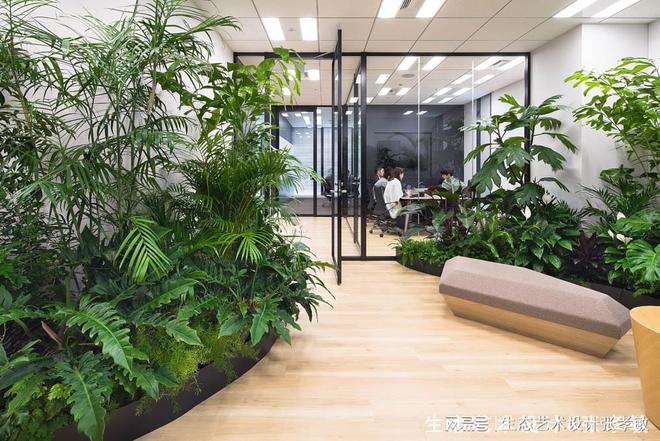 办公室这样设置室内绿化档次氛围一下就上火狐电竞来了！(图2)
