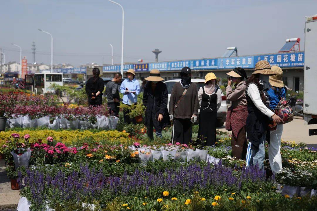 火狐电竞苗木到底何去何从市场到底在哪？(图1)