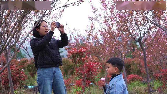 火狐电竞贵州平塘｜打造花卉苗木基地 美丽乡村提“颜”增“值”(图2)
