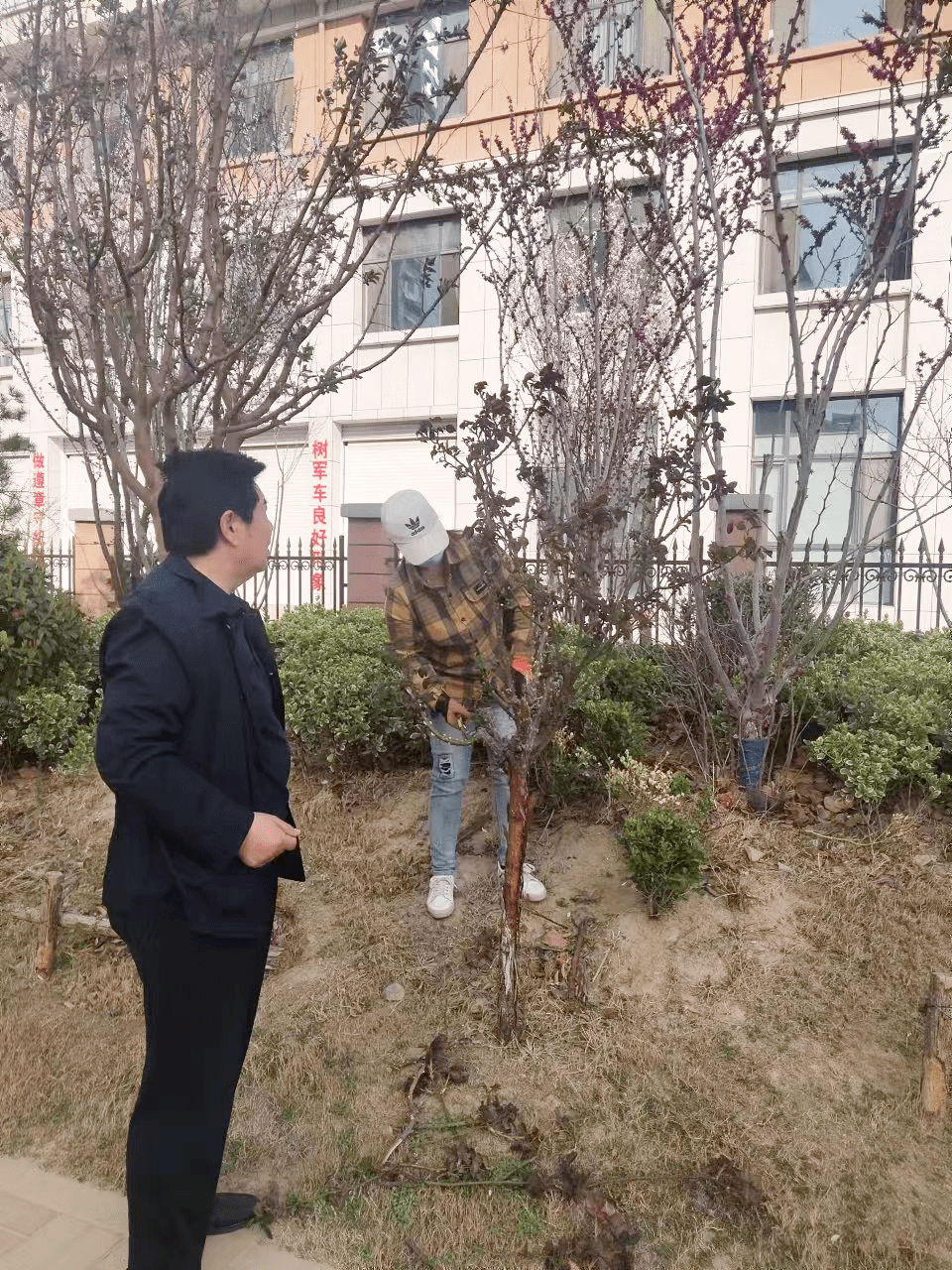 火狐电竞加强精细化管理提升绿化管养水平(图4)