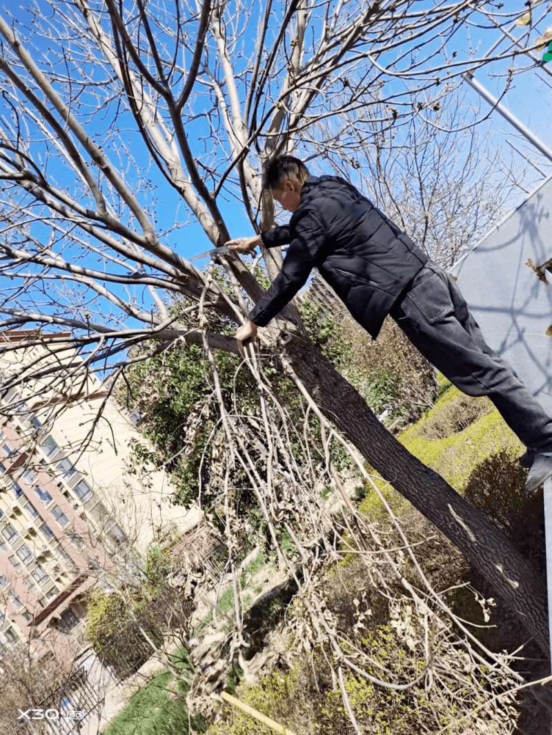 火狐电竞加强精细化管理提升绿化管养水平(图3)