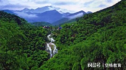 林业工程师职称评定条件解析想评职称的抓紧收藏火狐电竞(图1)