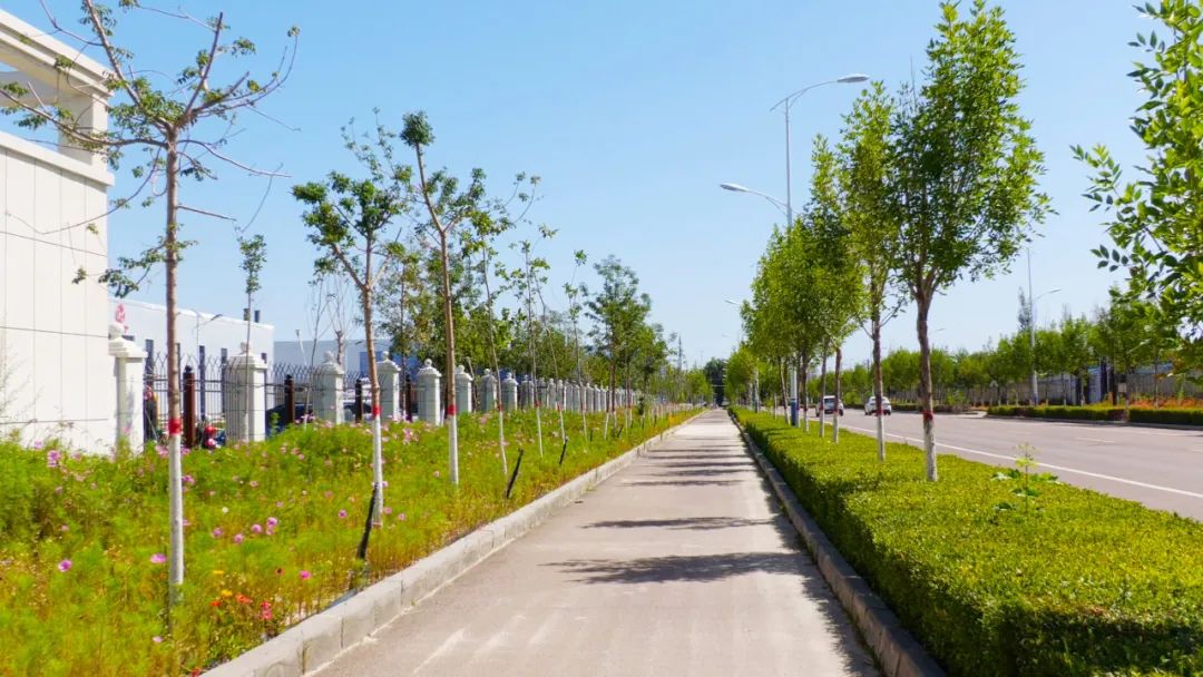 火狐电竞新疆巩留：绿化美化显成效 城市“颜值”大提升(图3)