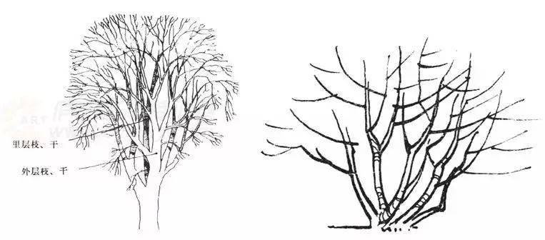 干货来袭景观设计手火狐电竞绘草图大全赶紧收藏(图3)