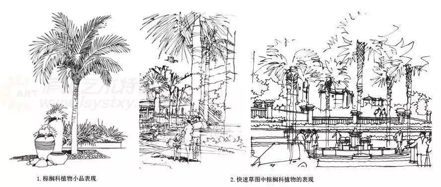 干货来袭景观设计手火狐电竞绘草图大全赶紧收藏(图9)