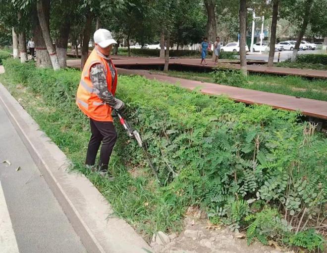 强化绿化养护  扮靓城火狐电竞市风景(图2)