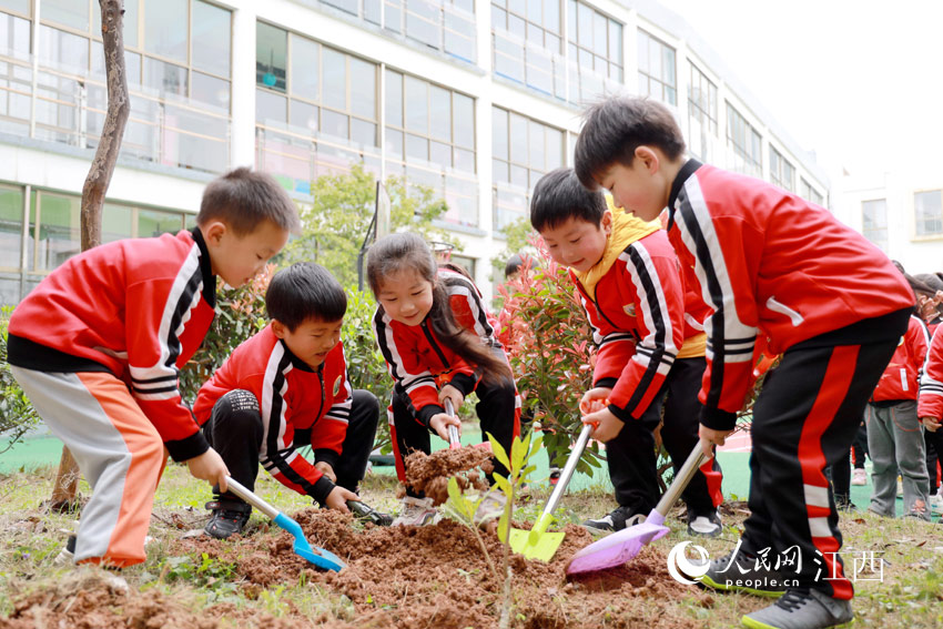 火狐电竞高清图：植树造林为家园添绿(图2)