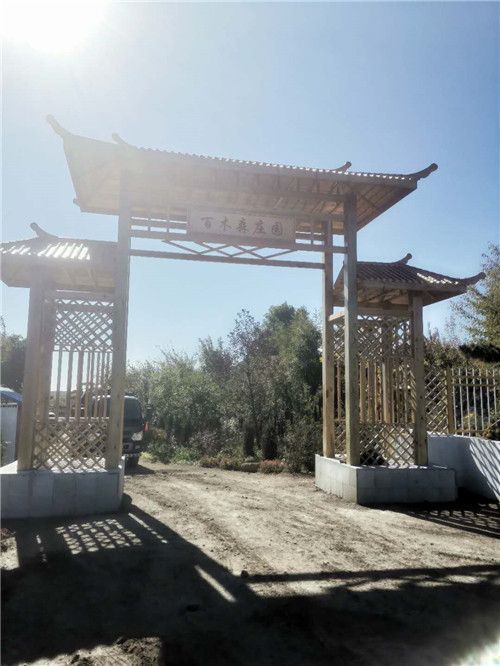 火狐电竞百木森苗木基地 助力绿水青山(图1)