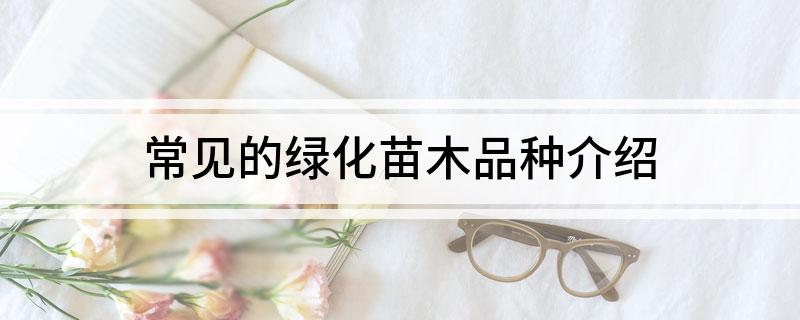 火狐电竞常见的绿化苗木品种介绍(图1)